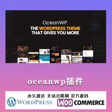 OceanWP Pro 汉化中文版 多功能轻量自定义WooCommerce主题