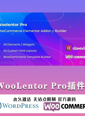 WooLentor Pro 汉化中文版| 自定义设计Elementor扩展小工具插件