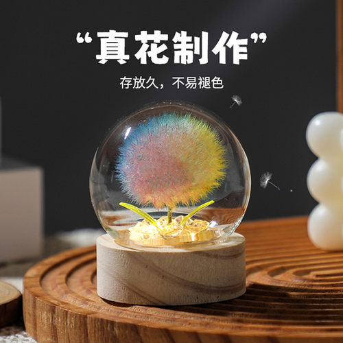发光蒲公英永生干花束小夜灯