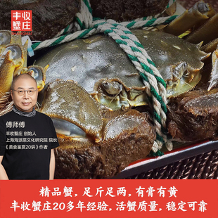 丰收蟹庄优质蟹大闸蟹全母8只2.9两母蟹鲜活螃蟹礼盒现货 活蟹