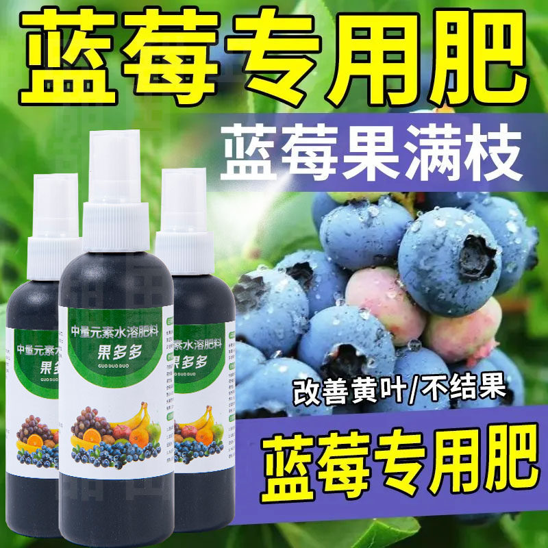 蓝莓专用营养液蓝莓肥料专用肥