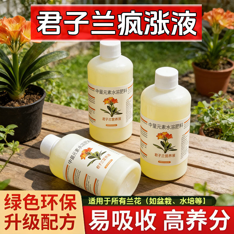 兰花专用肥营养液肥料促芽开花