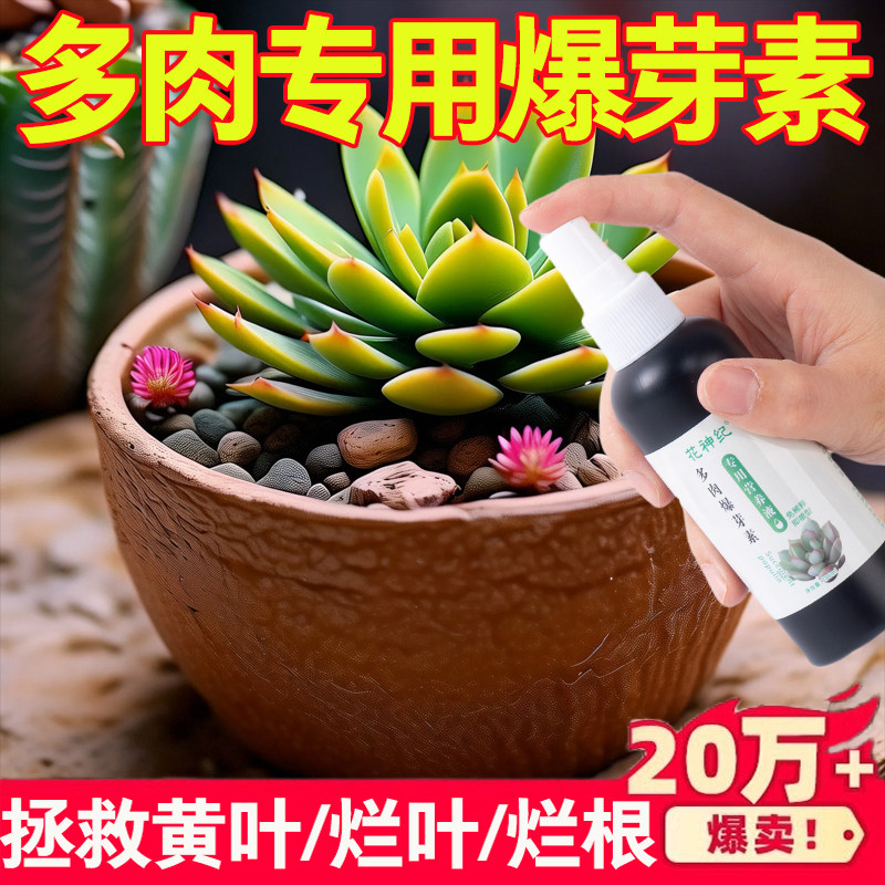 优芽素多肉专用爆芽素促生长营养液促侧芽花卉绿植通用发芽矮胖素