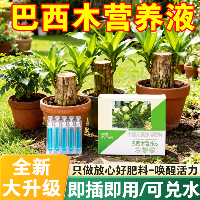 巴西木专用营养液免稀释