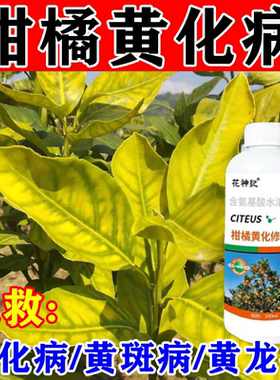 【果树黄化】黄化病专用肥黄叶卷叶黄斑黄龙病果树橙柑橘桔树通用