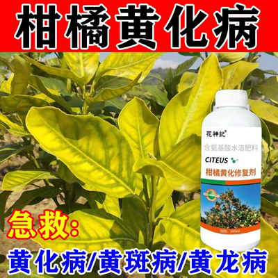 【果树黄化】黄化病专用肥黄叶卷叶黄斑黄龙病果树橙柑橘桔树通用