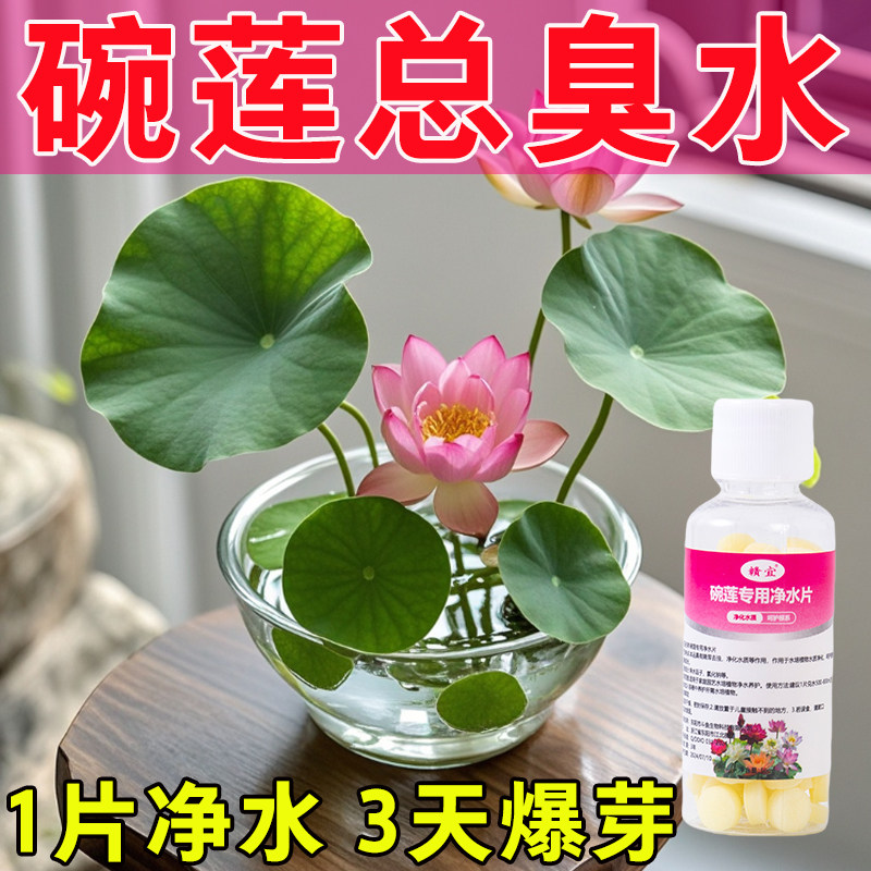 水培植物净水片专用碗莲荷花富贵竹鲜花保鲜鱼缸乌龟除臭杀菌消毒