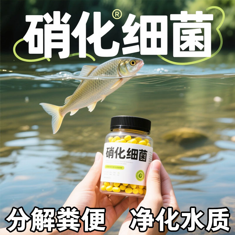 硝化细菌胶囊加强型遇水激活