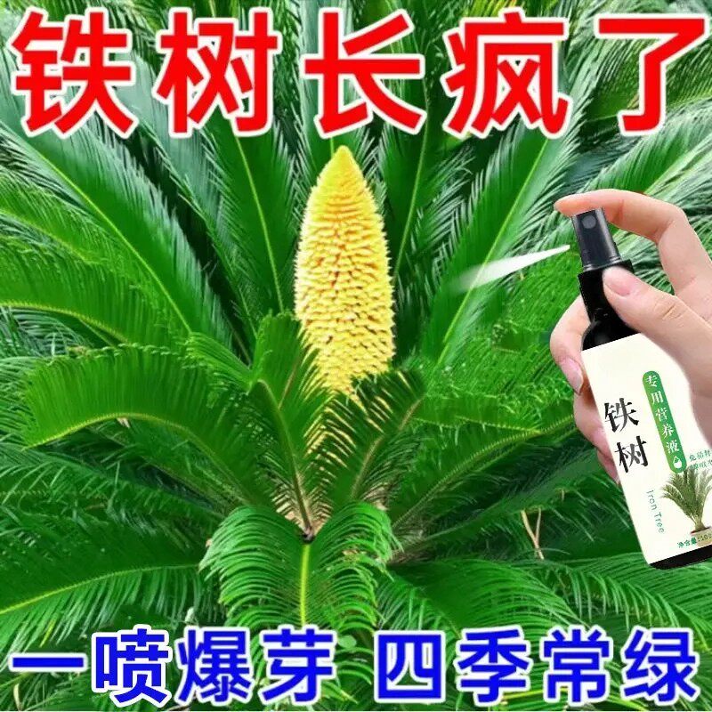 【一喷猛长】铁树专用肥料营养液叶子发黄专用肥促开花发芽液体肥