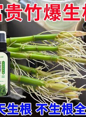 养富贵竹营养液专用肥专治黄叶生根转运竹龙竹观音竹水培植物专用