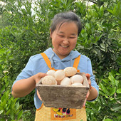 重庆农家新鲜鸭蛋20枚30枚现捡现发