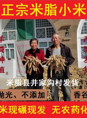 【羊粪种植】陕北米脂小米2025新黄油小米粥农家自产杂粮 5斤