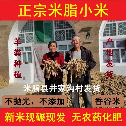 【羊粪种植】陕北米脂小米2025新黄油小米粥农家自产杂粮 5斤