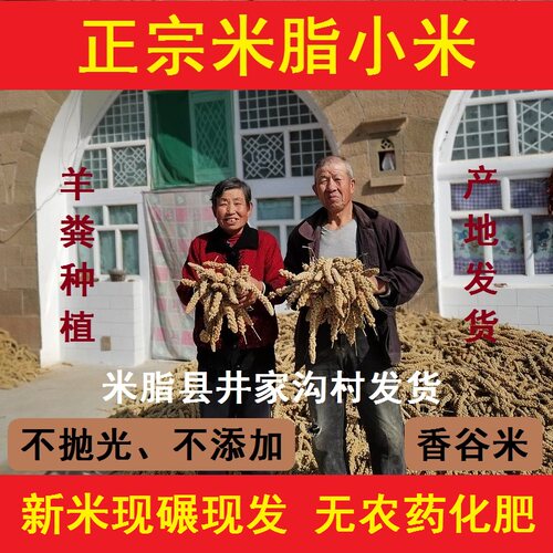 【羊粪种植】米脂小米农家杂粮
