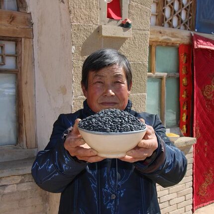 陕北黑豆农家自产小黑豆新黄仁豆黄芯豆芽肾形豆药用手工挑选 2斤