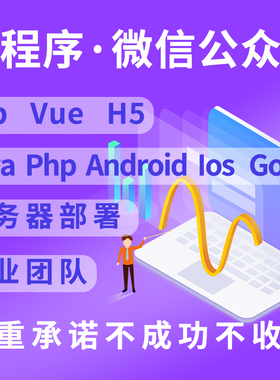 Java软件定制开发Vue/Html5/微信小程序/C++/C#/jsp/不成功不收费