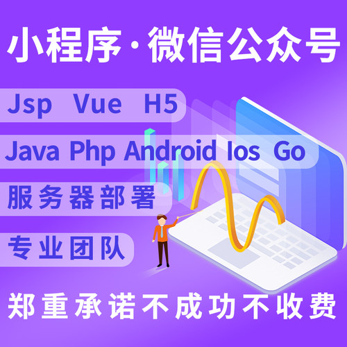 Java软件定制开发Vue/Html5/微信小程序/C++/C#/jsp/不成功不收费