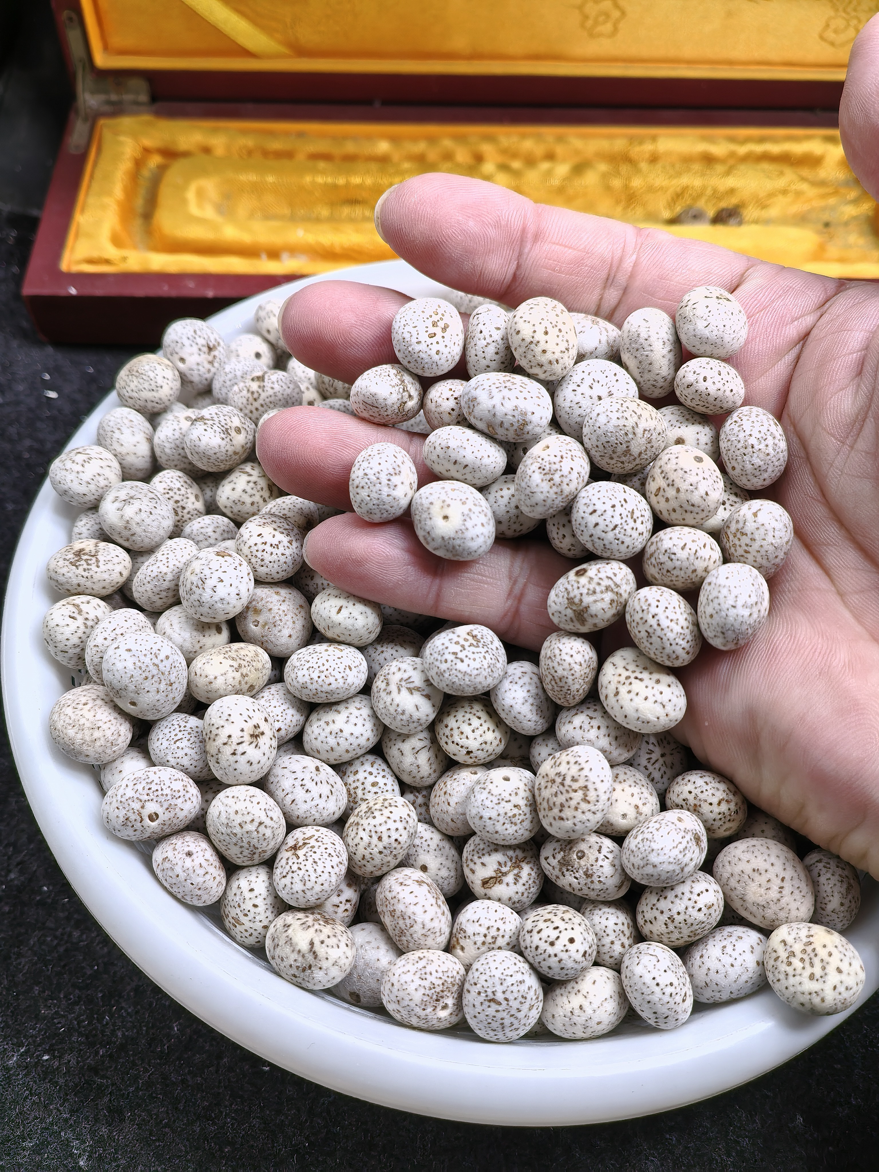 海南星月菩提原籽原生态去皮籽直径0.9到1.1之间的籽全国包邮