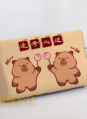 卡皮巴拉乳胶枕头专用枕套儿童卡通30cmx50cm宝宝枕罩单个40x60cm