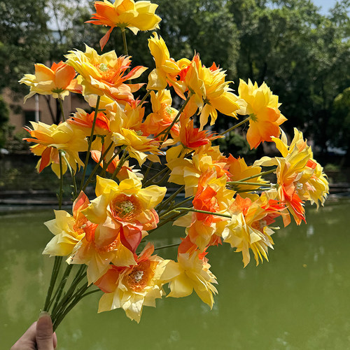 6头月季玫瑰花仿真花客厅餐桌装饰花摆件假花干花插花摆设菊花