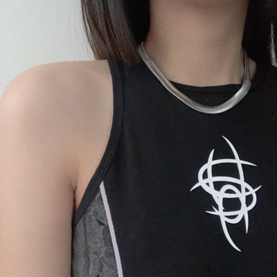 钛钢项链宽扁粗条蛇骨链ins冷淡风嘻哈锁骨链小众饰品基础款颈链