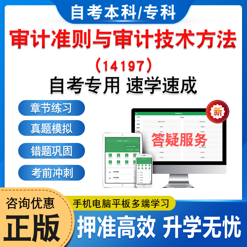 14197审计准则与审计技术方法