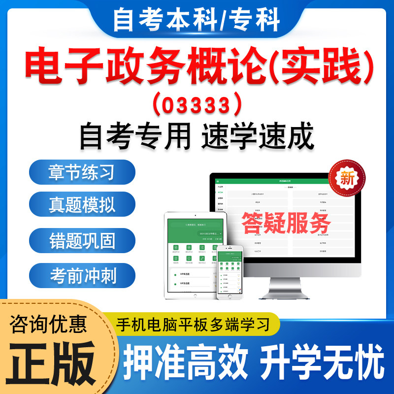 03333电子政务概论(实践)自考