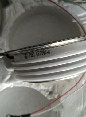 HORIBA SEC-E40 NH3 7slm质量流量计，全