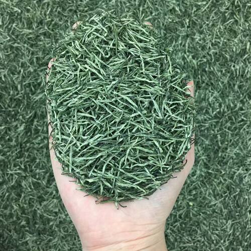 湖北神农架特产2026年新春茶芽毛尖茶高山绿茶250克