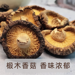 神农架土特产房县香菇干货湖北农家干椴木香菇香菌营养菌菇500g