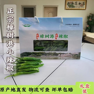 3斤礼盒装正宗湖南樟树港小辣椒新鲜湘阴特产现摘现发包邮青辣椒