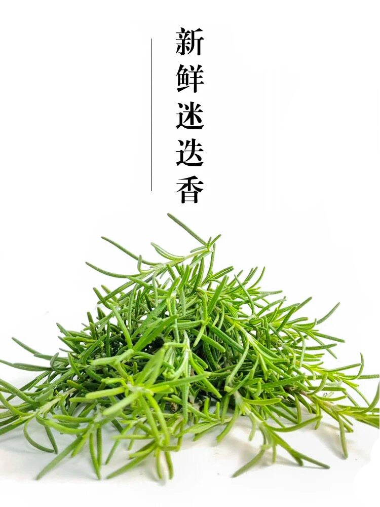 迷迭香摆盘叶子马鞭草饮料冷饮煎西餐牛排食用迷失香绿植花卉盆栽