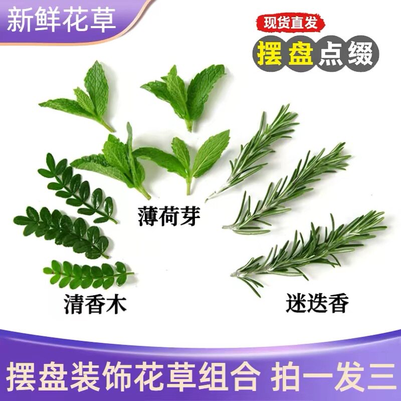 提拉米苏蛋糕摆盘装饰叶子烘焙甜品摆件新鲜清香木迷迭香薄荷芽