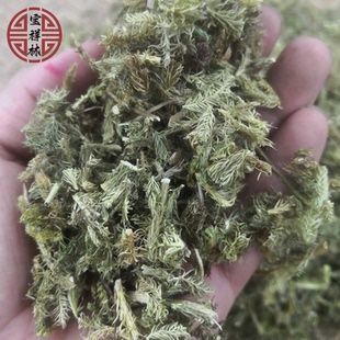宝祥林深山伸筋草干货 筋骨草 舒筋草石松狮子无硫新货250g