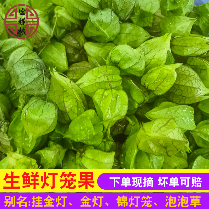 宝祥林新鲜灯笼果纯灯笼草泡天泡子打卜草打额泡果子腌制潮汕250g