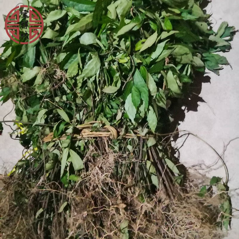 宝祥林新鲜石奇花软枝鲫鱼草鲫鱼茶鲫鱼胆500克