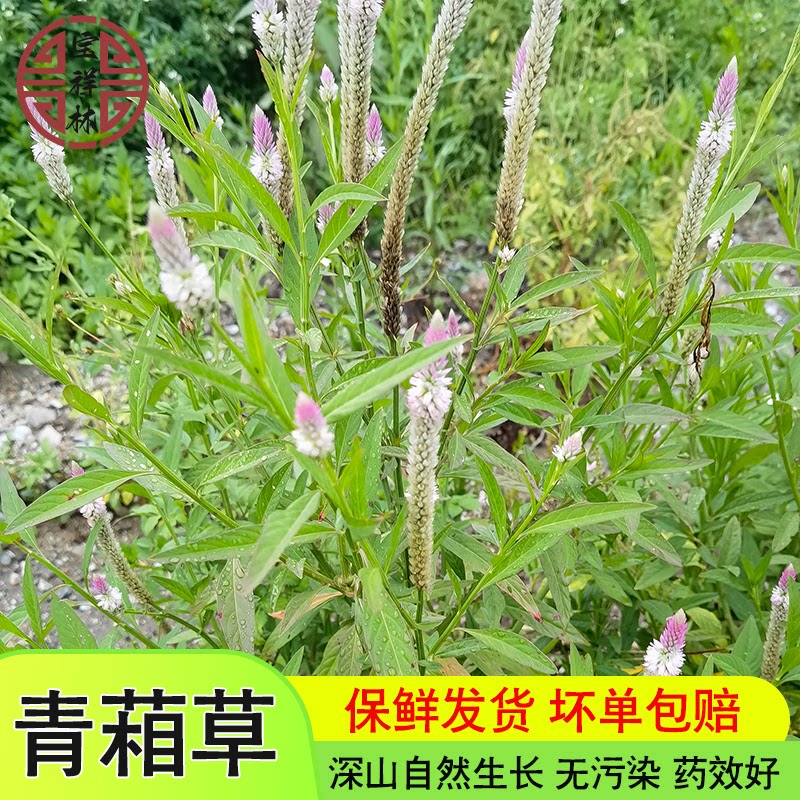 宝祥林500克现采新鲜青葙草蒿鸡冠花昆仑草牛母窝鸡冠苋