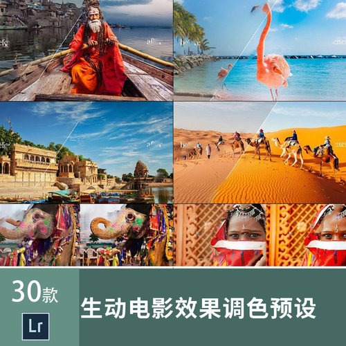 lr滤镜插件VIVID生动电影效果LIGHTROOM预设摄影后期素材