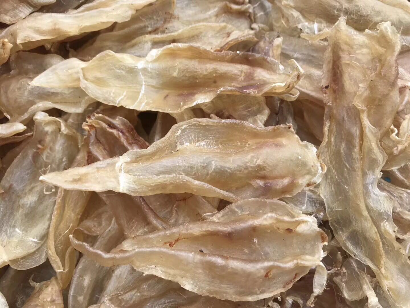 北海鱼胶花胶干货正品北海母鱼胶鱼胶鱼肚干货正品北海鳘鱼胶_虎窝淘
