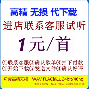 歌曲代下载高精无损车载u盘音源人工找歌高解析flac/WAV歌单定制