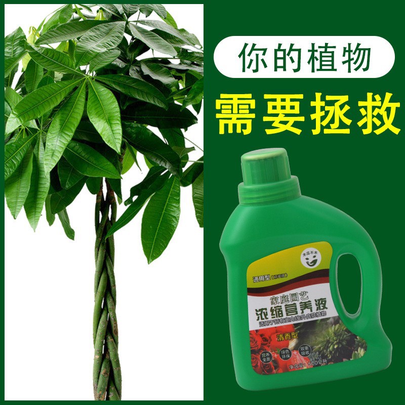 厂家直销植物营养液 浓缩植物通用型 多肉发财树蔬菜叶面肥料