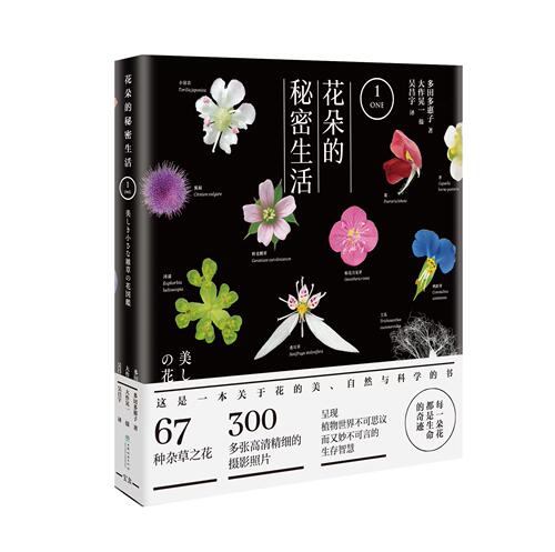花朵科普134种杂草之花