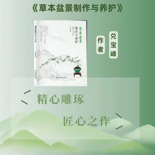 草本盆景制作与养护 兑宝峰   0257 竹草类盆景 多肉类盆景 草本植物 盆器选择 造型技法 盆景艺术 中国林业出版社