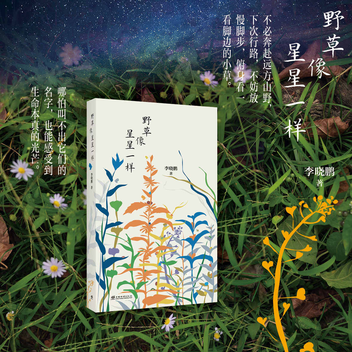 野草像星星一样 &3567
