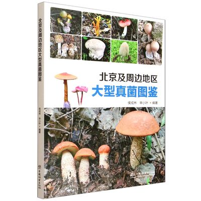 北京及周边地区大型真菌图鉴 &3203