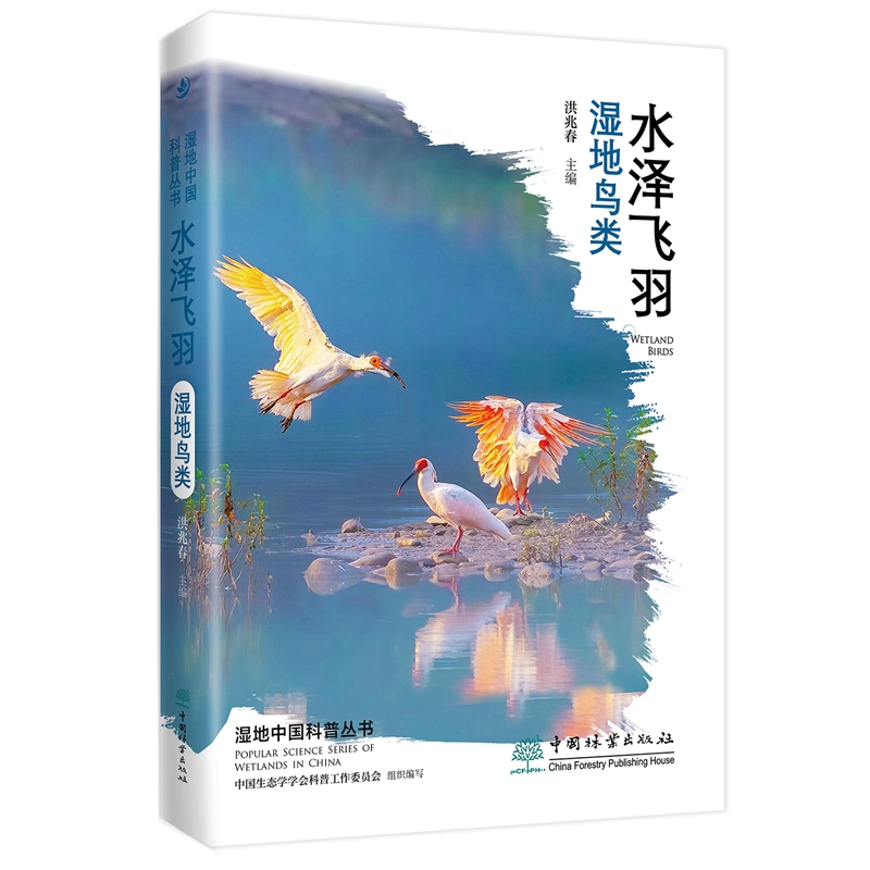 水泽飞羽——湿地鸟类 湿地中国科普丛书 洪兆春,中国生态学学会科普工作委员会 1907 中国林业出版社