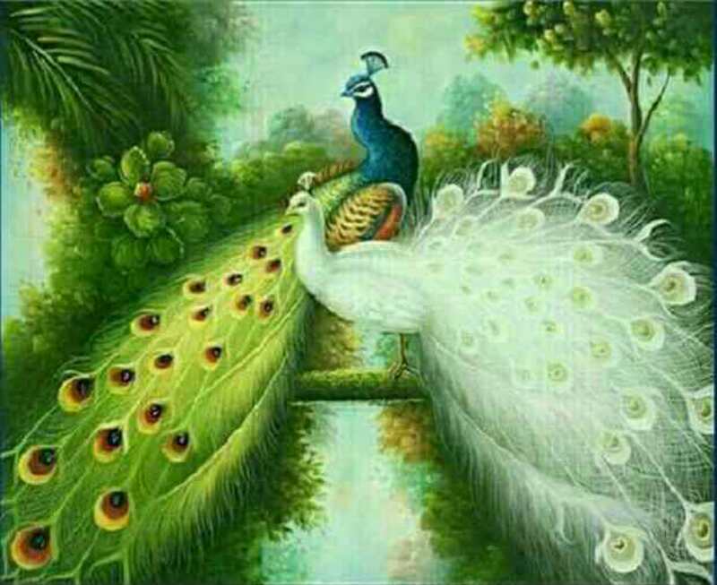 包邮粘贴十字钻石满绣5d百鸟之王白孔雀和绿孔雀客厅卧室书房壁画