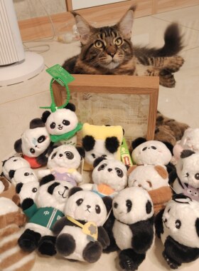亏本清仓包邮成都熊猫基地熊猫花花毛绒挂件公仔手提包斜挎包玩偶