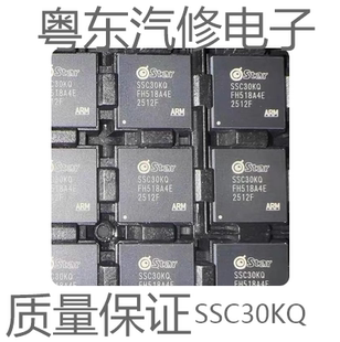 SSC30KQ 封装QFN 32位双核RISC处理器高级图像信号处理器
