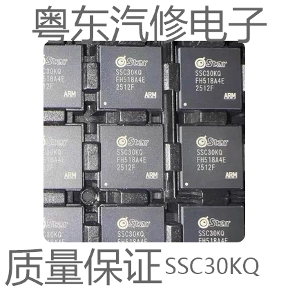 SSC30KQQFN32位双核RISCIP
